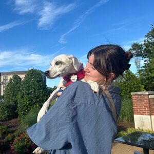 Meet your Posher, Sydney